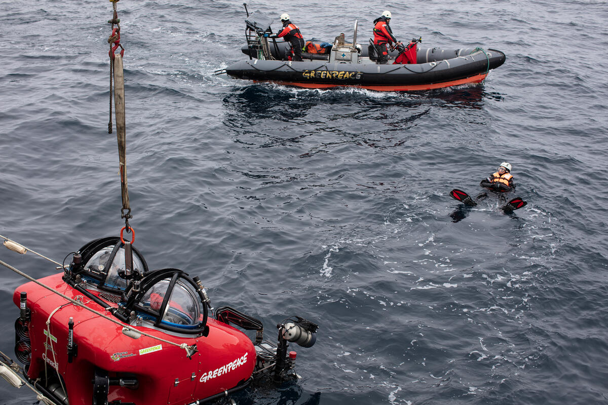 Submersible Dive In Antarctica. © Marizilda Cruppe / Greenpeace