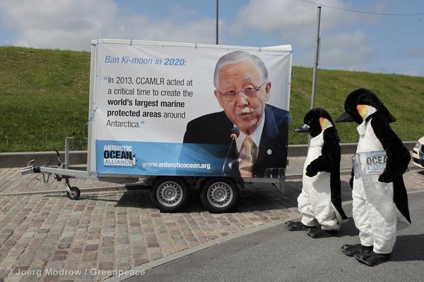 Activists dressed as penguins visit the  Commission for the Conservation of Antarctic Marine Living Resources, CCAMLR, in Bremerhaven, Germany.