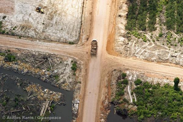 Aerial Documentation in Sumatra