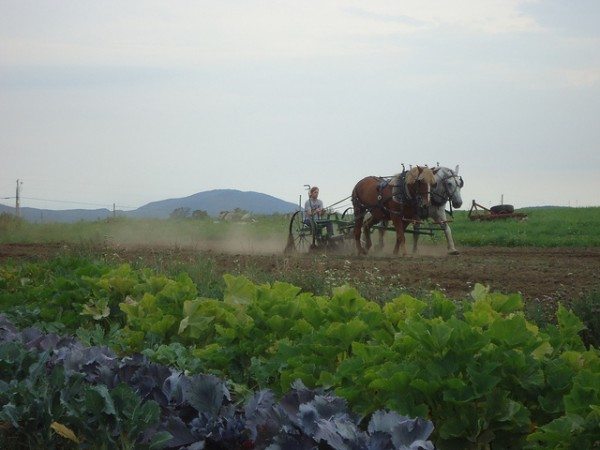 Ah Vermont. Working the land at Sterling College. Photo courtesy of Devin Thurber.