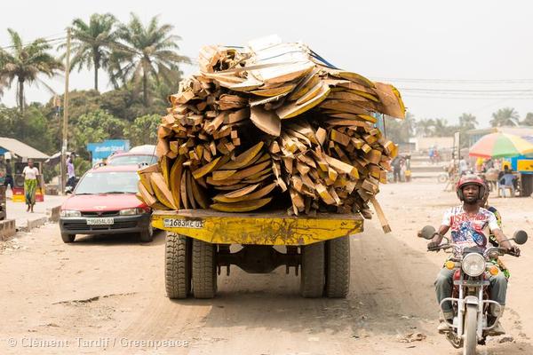 Transportation of illegal timber in the DRC
