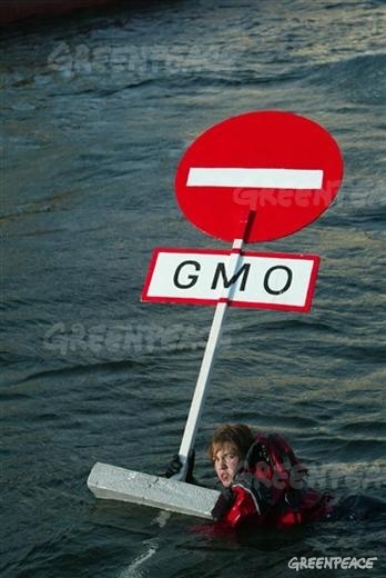 Anti GMO sign