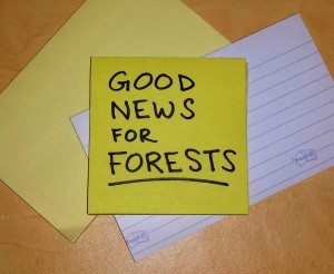 Posted! Good News for Forests