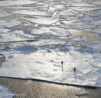 Ice Floe in the Arctic