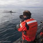 Documenting Seismic testing Barents Sea