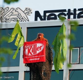 Forest Action at Nestlé HQ in AmsterdamBossenactie voor het hoofdkantoor van Nestlé in Amsterdam