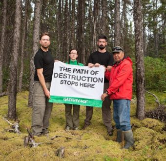 Greenpeace Joins with the Cree First Nation of Waswanipi to Save the Broadback Valley