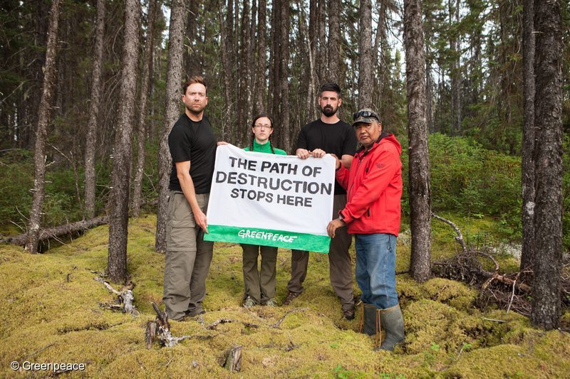 Inside an Indigenous Community's Fight to Save Canada's Boreal Forest -  Greenpeace USA