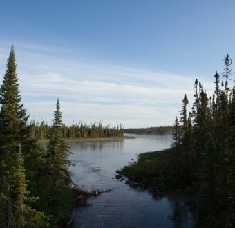 Intact Boreal Forest in Broadback Valley