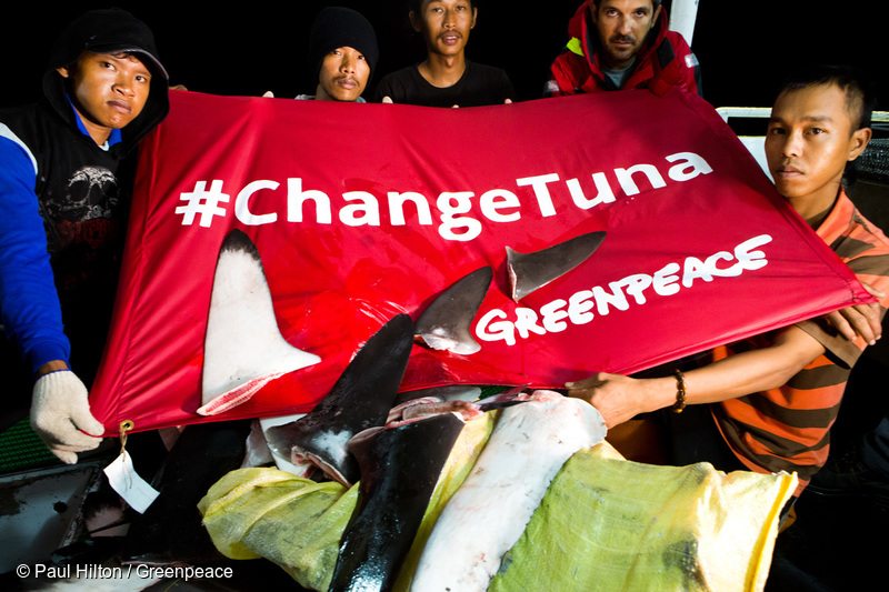 Greenpeace Ship Busts Illegal Tuna Fishing Operation on the Pacific High Sea