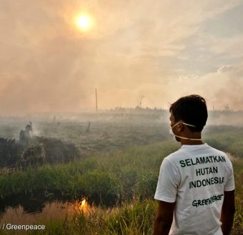 Documenting Forest Fires in Sumatra