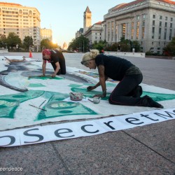 Democracy Mural in Washington