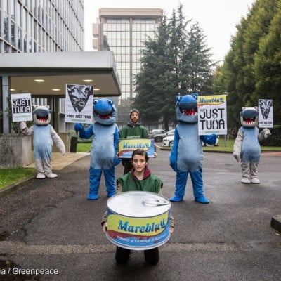 Sharks Protest at Thai Union's Italian Brand Mareblu in Milan