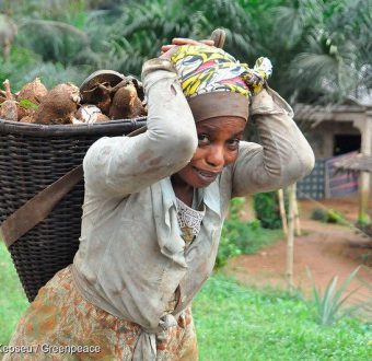 Farmer in Cameroon