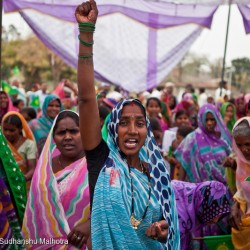 Mahan Forest Victory Celebration in India