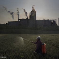 Spraying Crops in front of Steel Plant in Jiangsu