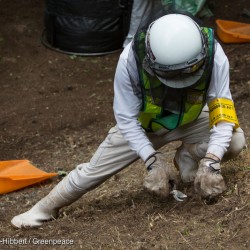 Radioactive Decontamination in Iitate District in Japan