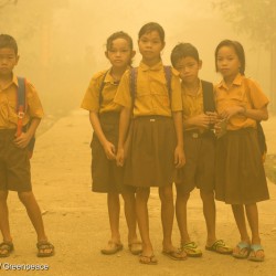 Haze in Central Kalimantan