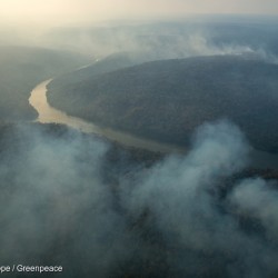 Forest Fires in the Indigenous Land Arariboia in BrazilIncêndio florestal na Terra Indígena Arariboia