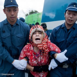 Protest at Camp Schwab against US Military Base in Okinawa