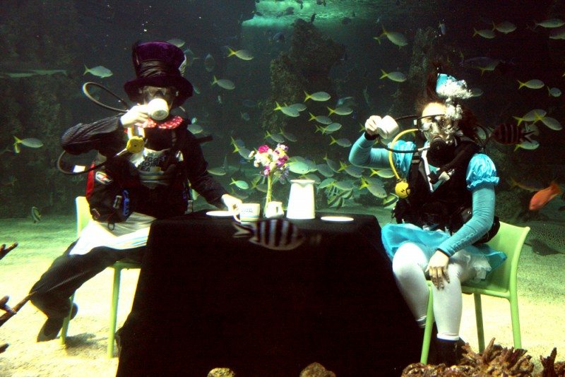 Underwater Tea Party