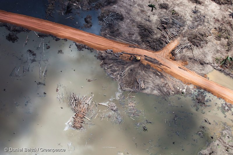 Photos: Building a Dam in the Heart of the Amazon - Greenpeace USA