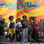 Democracy Awakening Rally in Washington D.C.