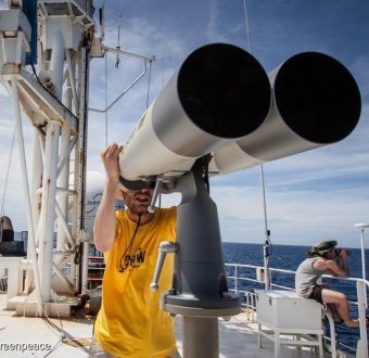 Greenpeace campaigner searches for FADs (Fish Aggregation Devices) on the ship's monkey nest.