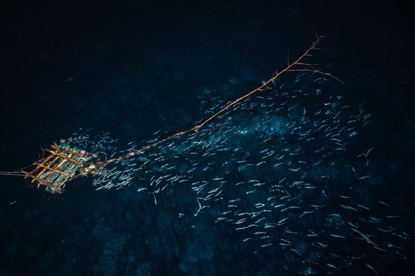 Aerial view of a FAD (fish aggregating device) at night.  Greenpeace is in the Indian Ocean to document and peacefully oppose destructive fishing practices.