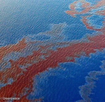 Shell Oil Spill in the Gulf of Mexico