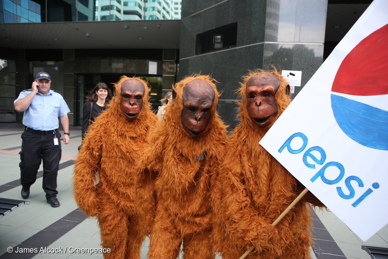 Activist orangutans deliver a message to PepsiCo offices in Australia.