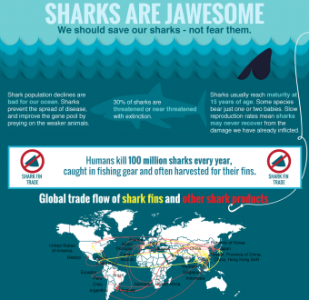 Infographic: Why We Should Save Sharks, Not Fear Them