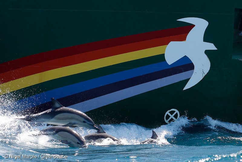 Rainbow Warrior in New Zealand