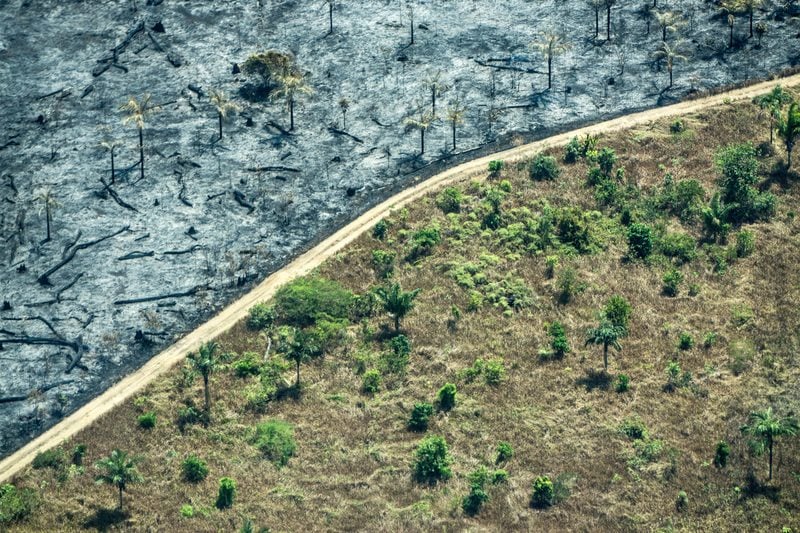 Deforestation in the Amazon Caused by Forest FiresDesmatamento na Amazônia Causado por Queimadas