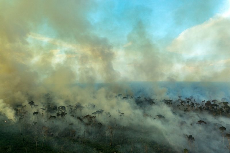 Forest Fire in the AmazonQueimada na Amazônia