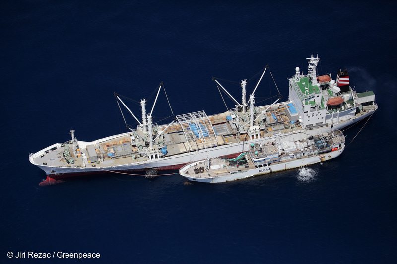 Tuna Transshipment in the Indian Ocean