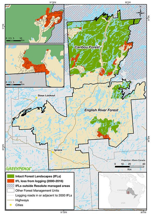 Map showing intact forest landscape loss in Ontario