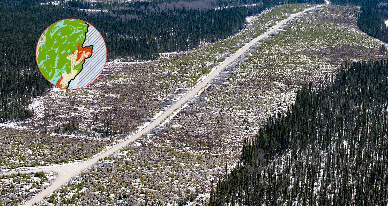 Road connecting to Northeast section of Caribou forest