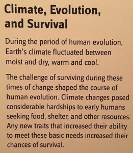 Climate, Evolution, and Suvival