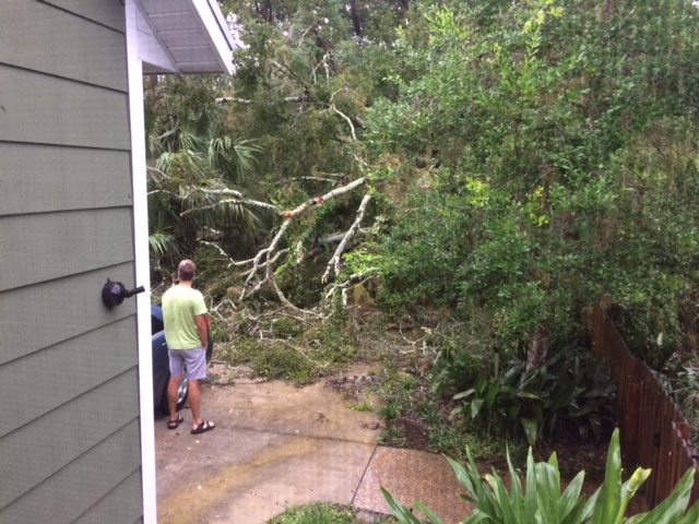 Irma Impacts in Gainesville, Florida