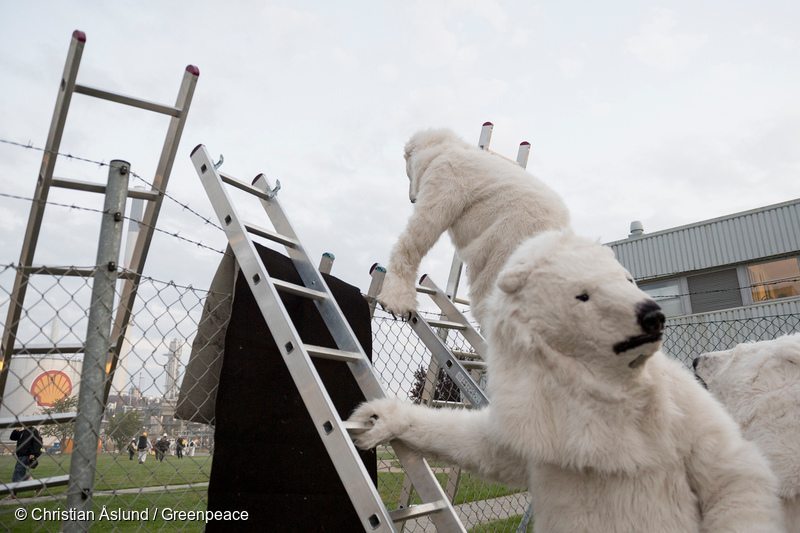50 Times Polar Bears Crushed It for Greenpeace - Greenpeace USA
