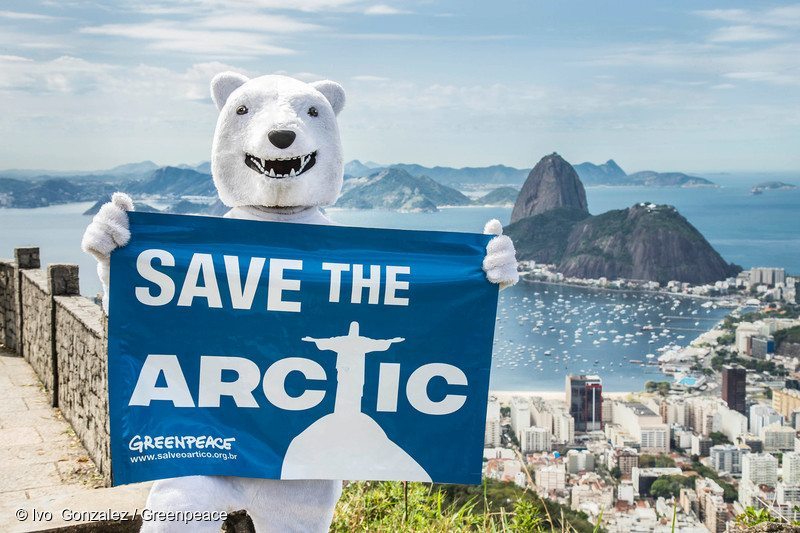 50 Times Polar Bears Crushed It for Greenpeace - Greenpeace USA