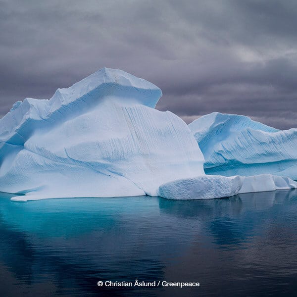Compass | The Hidden World Beneath Antarctica - Greenpeace USA