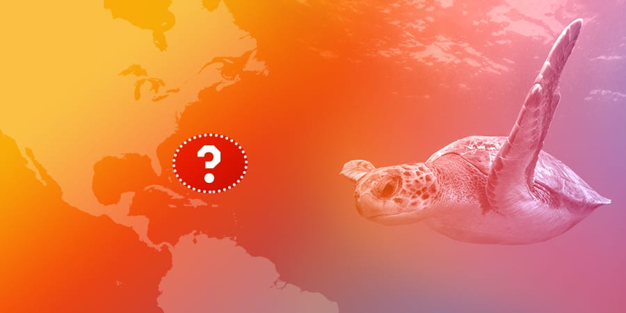 3. This is the only sea without a land boundary, located entirely within the Atlantic Ocean Gyre and roughly encompassing the Bermuda Triangle. It gets its name from floating seaweed, which provides habitat to species like sea turtles! What sea is it?