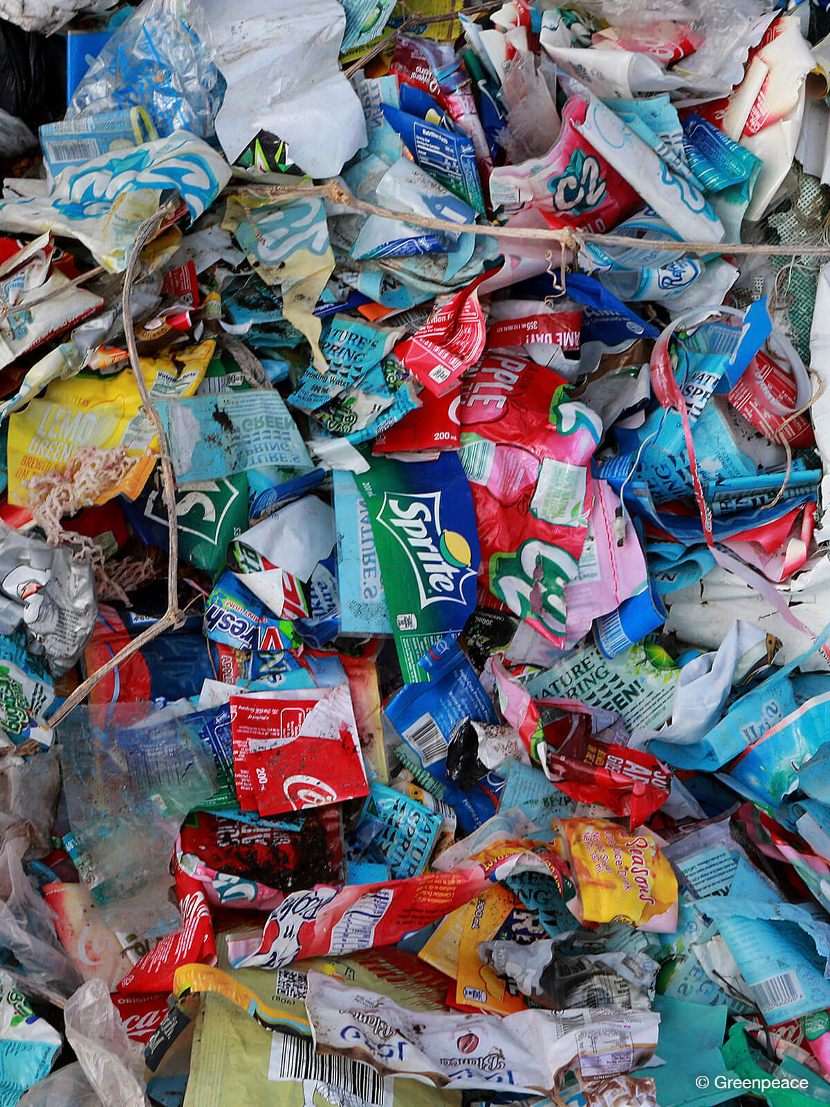 Single-use plastic packaging increases food waste, pollution
