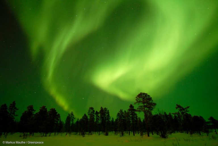 In Pictures: Nature Photography Day - Greenpeace USA