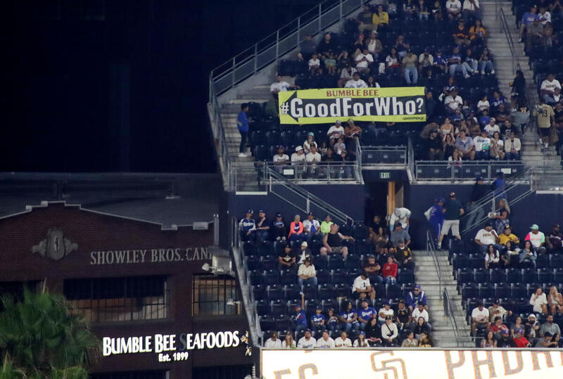 Bumble the Bee: The most popular person at the ballpark (+video