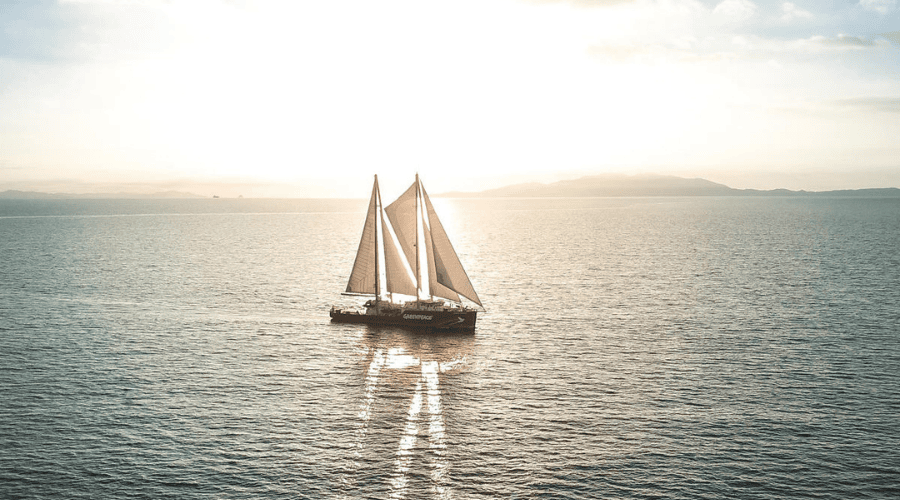 Rainbow Warrior Arrives in Auckland